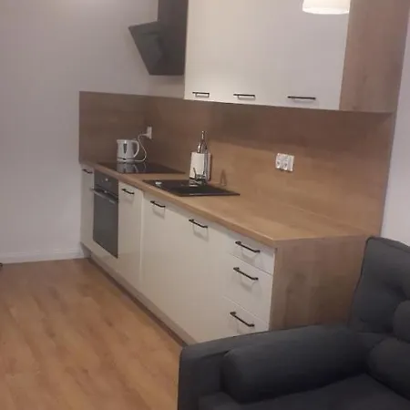 Apartamenty Irena Stare Miasto Sw. Ducha Elblag Exterior photo